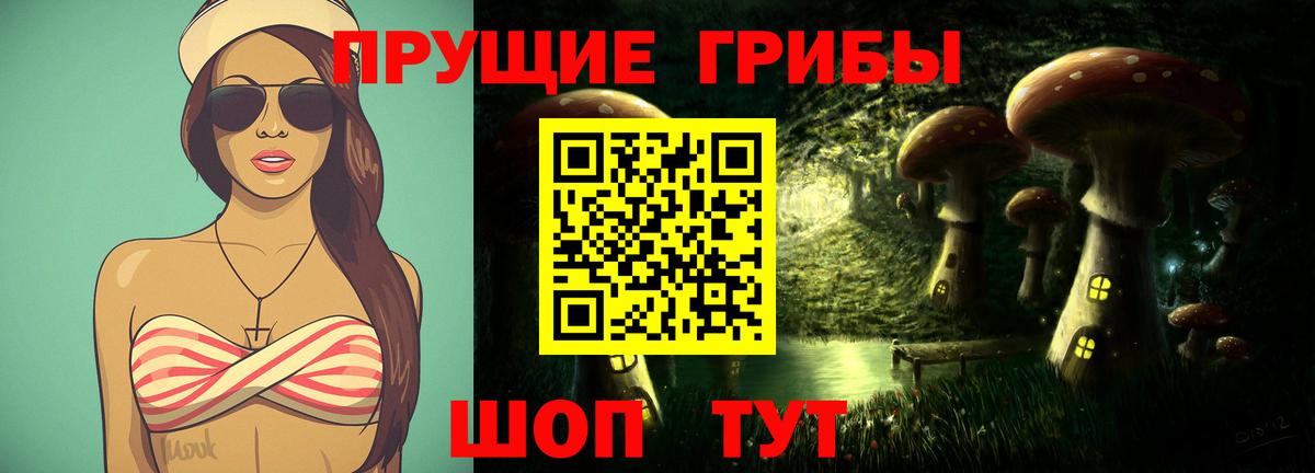 Сальск  Псилоцибиновые грибы прущие грибы  Галлюциногенные грибы прущие грибы  Вход с VPN 