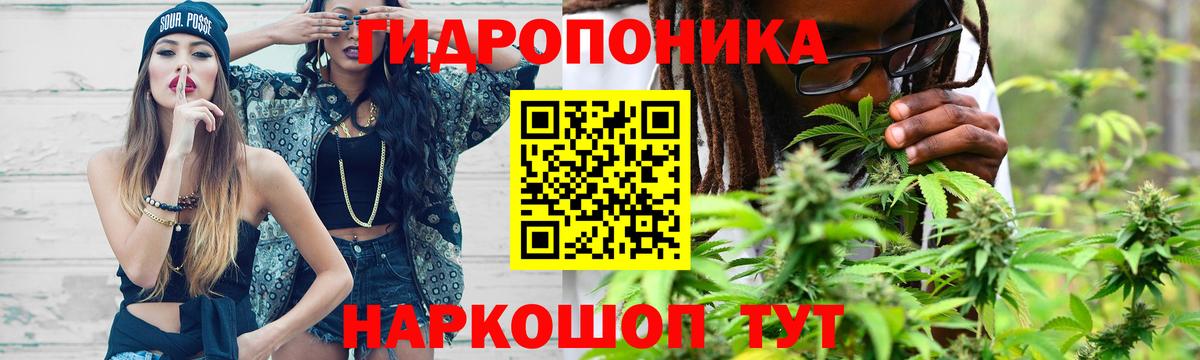 Конопля ГИДРОПОН  Канабис сатива  Сальск  Вход с VPN  Бошки марихуана OG Kush  Марихуана гибрид 